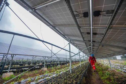 中國(guó)十三省最大光伏電站在這里！欽州康熙嶺的光伏電站能排上號(hào)了嗎？